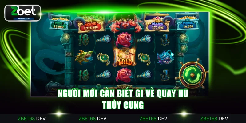 Thông tin cơ bản về quay hũ Thủy Cung cho người mới